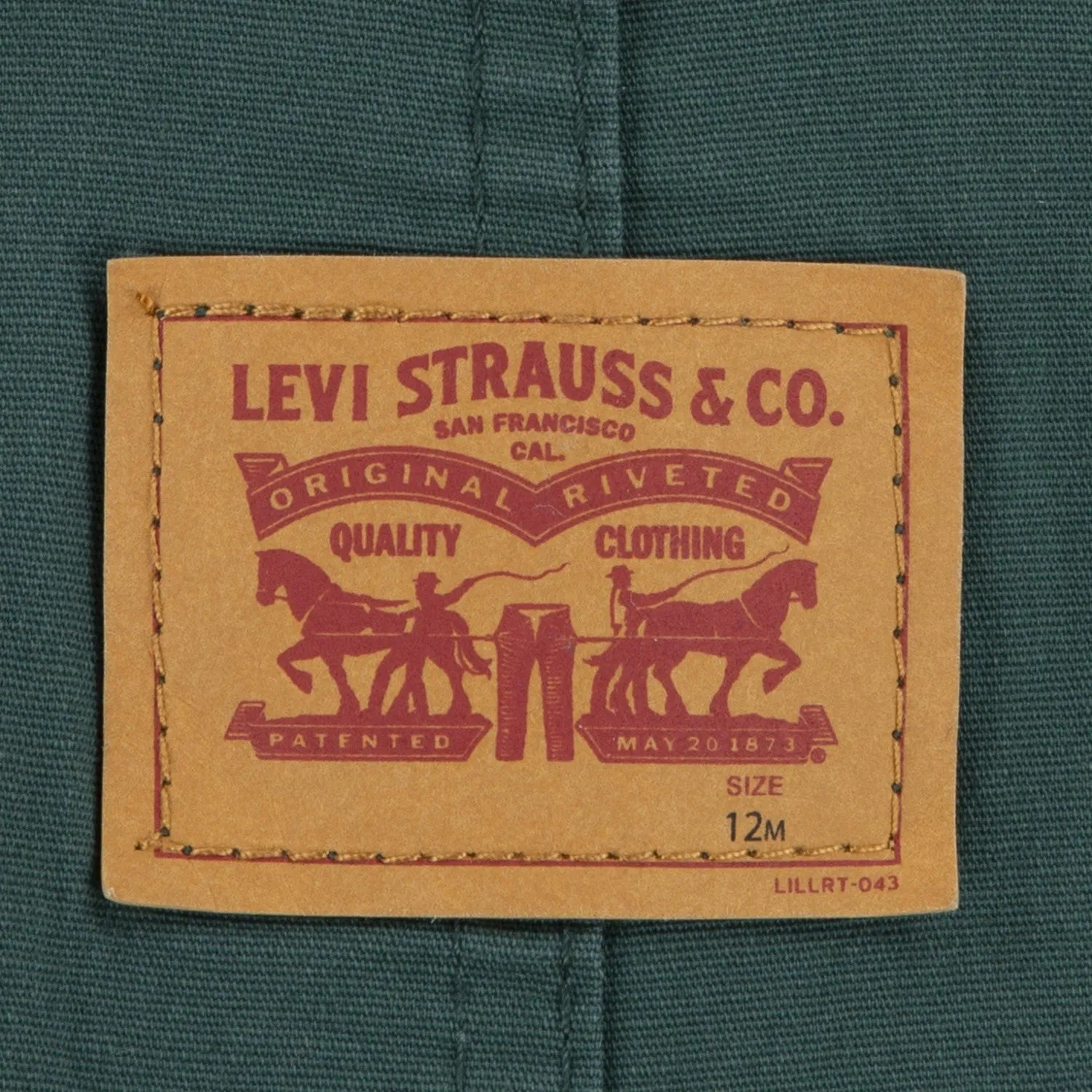 Levi's GREEN Carpenter Overalls