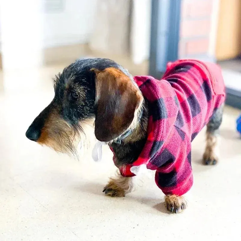 Winter Warm Dog Hoodies for Cozy Comfort